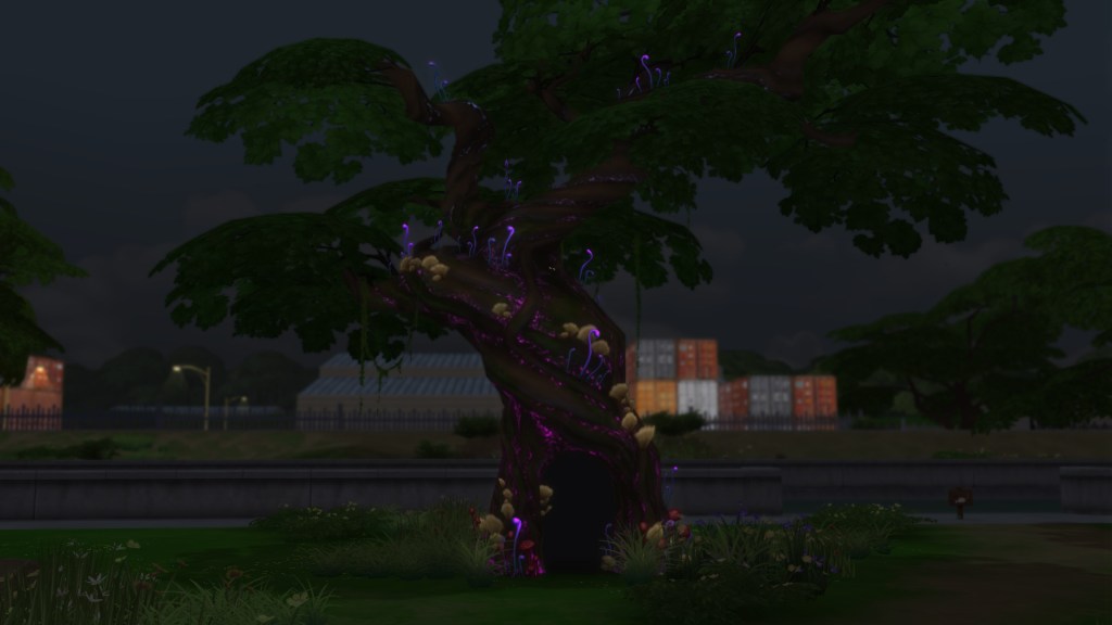 wide shot of Sylvan Glade showing lake and pink trees